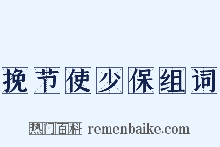 挽节使少保组词是什么意思的图片